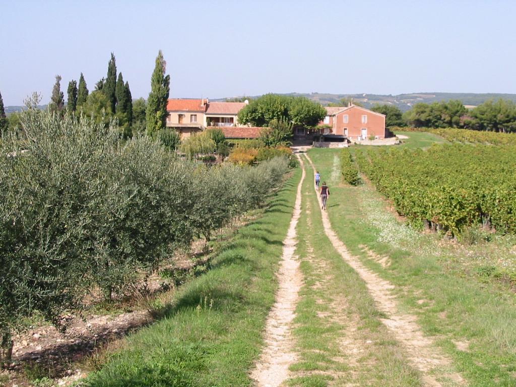 Le Petit Champ Villa Buisson Ruang foto